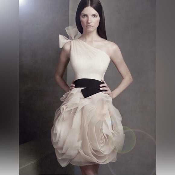 Vera Wang Bridesmaid For David’s Bridal - Picture 2 of 16